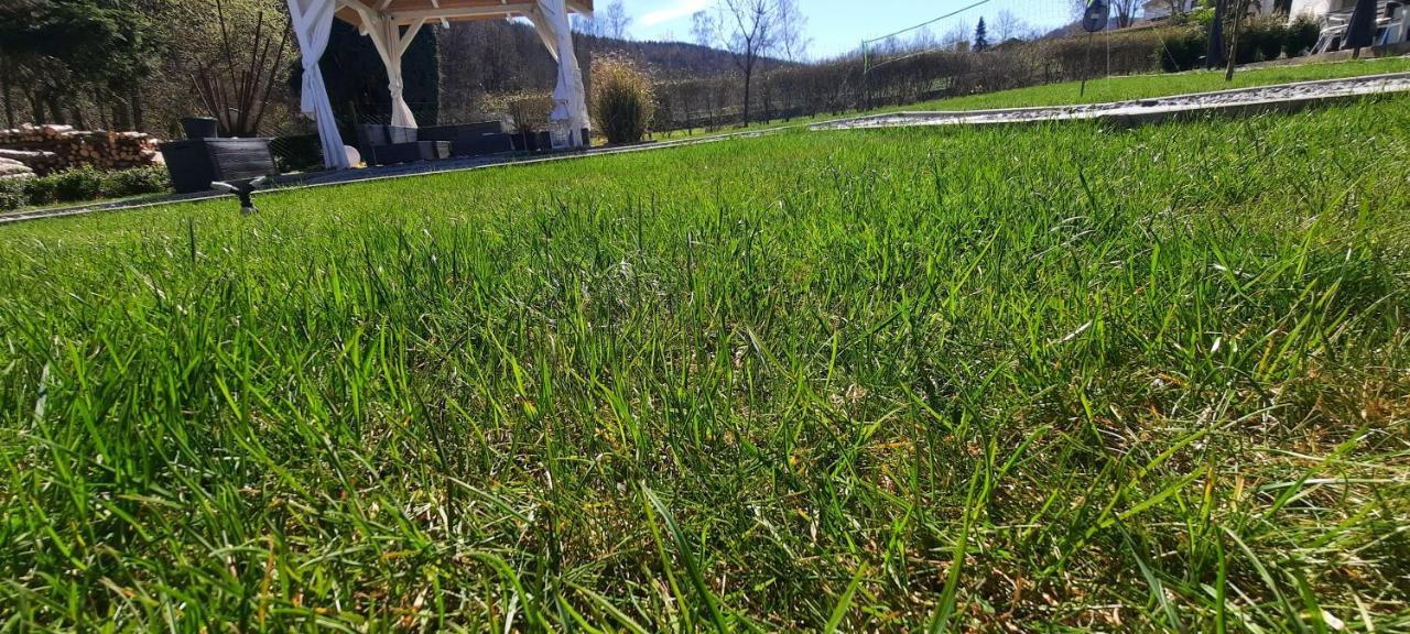 Ferienwohnung Zum Kuehlen Grund Eimelrod Exteriör bild