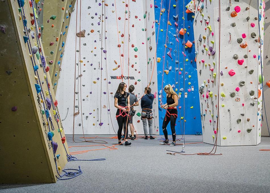 Ferienwohnung Zum Kuehlen Grund Eimelrod Exteriör bild